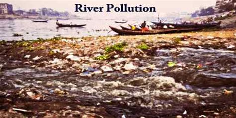 river pollution assignment point