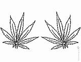 Weed Pages Coloring Leaves Tattoo Printable Kids sketch template
