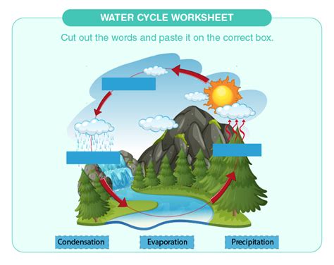 water cycle worksheet   printables  kids
