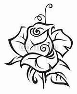 Rose Drawing Tribal Drawings Vector Stock Flower Illustration Tatouage Tattoo Depositphotos Coloring Designs Alexkava Paintingvalley Pages Patterns Burning Wood Tatoo sketch template