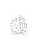 Apple Coloring Custard Pages Sugar Tropical sketch template