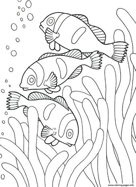 sea creature drawing  getdrawings