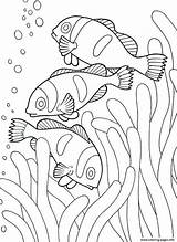 Sea Creature Coloring Pages Animals Drawing Printable Getdrawings sketch template