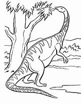 Mewarnai Dinosaurus Dinozaury Kolorowanka Kolorowanki Druku Marimewarnai Paud sketch template