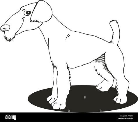 airedale terrier  coloring book stock photo alamy