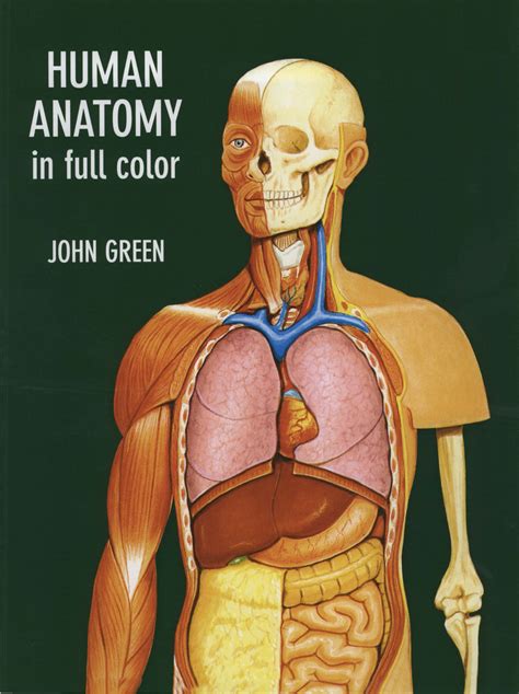 human anatomy  full color scribd