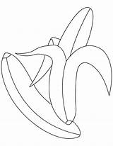 Banana Coloring Pages Bunch Peeling Netart sketch template