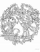 Raccoon Mammals Kleurplaten Supercoloring Coloringbay Mewarn15 Printbare Wasbeer Americ Raccoons Onlinecoloringpages sketch template