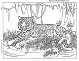 Coloring Pages Difficult Animals Adults Printable Print sketch template