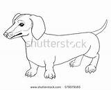 Dog Sausage Drawing Outline Coloring Pages Weiner Getdrawings Dachshund Wiener Animal sketch template