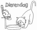 Kleurplaten Dierendag Poes Vogel Kleurplaat Flevoland Animaatjes Malvorlagen1001 Coloringpages1001 sketch template