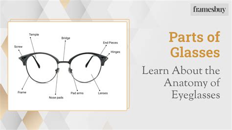 parts  glasses learn   anatomy  eyeglasses