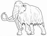 Coloring Pages Mammoth Archaeology Printable Template Getcolorings Pdf Getdrawings Museum Fraser Simon University Color sketch template