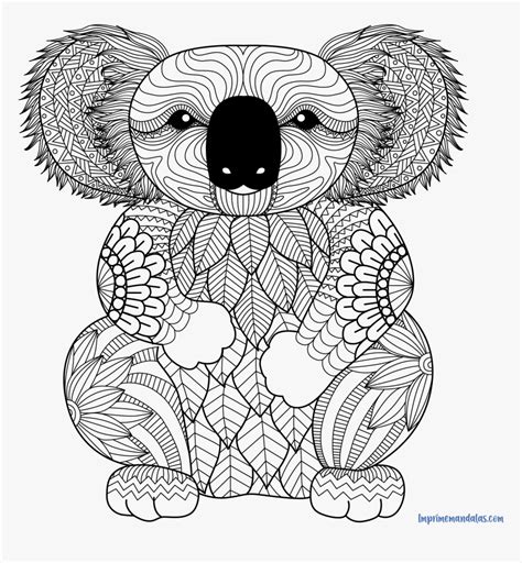 printable koala coloring pages hd png  transparent png image