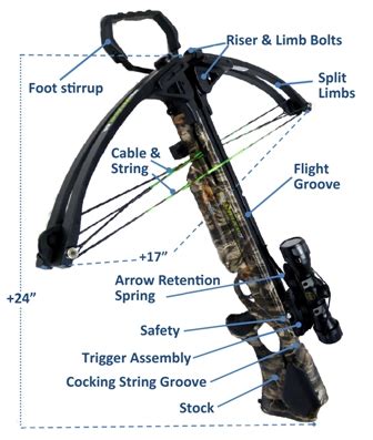 crossbow hunting qualification nys dept  environmental conservation