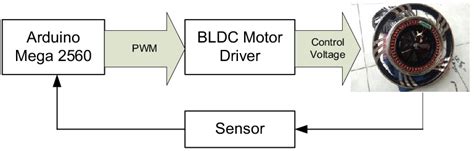 block design  system identification  scientific diagram