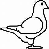 Paloma Palomas Pigeon Animadas Blancas Burung Fauna Columbidae Mewarnai Dara Colo Kartun sketch template