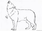 Wolf Howling Drawing Line Coloring Pages Printable Coloring4free Deviantart Bone Snatcher Drawings Wolves Paintingvalley Head Related Posts sketch template