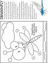 Dragonfly Coloring Makingfriends Bug sketch template