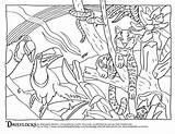 Coloring Pages Habitat Rainforest Camouflage Animal Color Forest Amazon Animals Sheets Drawing Habitats Printable Counts Getcolorings Getdrawings Print Colorings Mindware sketch template