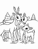 Rudolph Coloring Pages Reindeer Christmas Family Santa Printable Kids Nosed Red Disney Template sketch template