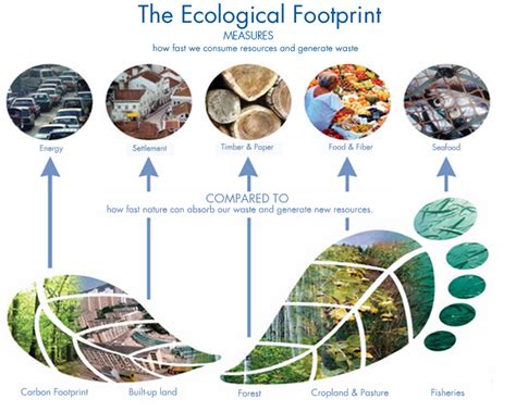 ecological footprint global footprint network