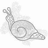 Stylized Zentangle Snail sketch template