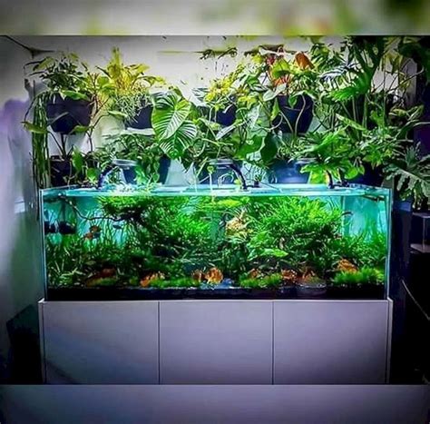 marvelous home interior design  indoor aquarium ideas dexorate