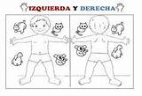Derecha Izquierda Lateralidad Actividades Preescolar Ejercicios Nociones Conceptos Fisica Educación Física Didactico Libros sketch template