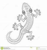 Totem Zentangle Lizard Kleurende Volwassen Mandalas sketch template