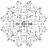 Mandalas Fractal Poinsettia Automne Coloriages Ausmalen Für Colorier Buongiornissimocaffe Deavita Wald Feuilles Malvorlage Erwachsene sketch template