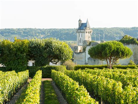 loire valley sevenfifty daily