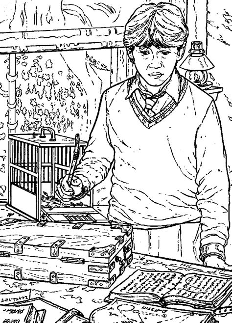 kids  fun coloring page harry potter   chamber  secrets