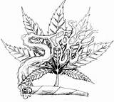 Weed Coloring Drawings Pages Tattoo Leaf Marijuana Pot Smoke Drawing Cannabis Step Draw Plant Easy Smoking Stoner Pencil Tribal Creative sketch template