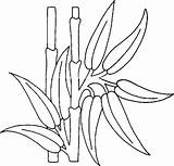 Bamboo Coloring Coloriage Plante Imprimer Dessin Colorier Plants Drawings Dessins Cactus sketch template