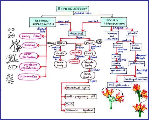 Biology Is To Serve Mankind 1 8 Reproduction And Development