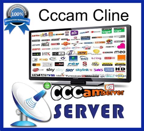 serveur cccam gratuit  team tv team television