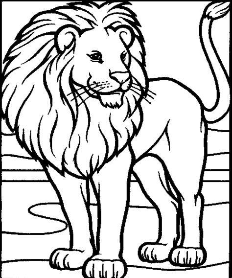 ivys coloring book lion