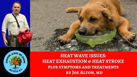 sweating too much heat exhaustion and heat stroke signs