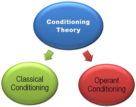conditioning theory definition  meaning business jargons