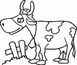 Coloring Pages Cow Cartoon Vacas Colorear Pintar Printable Farm Imprimir Para Outlines Animal Decorar Cliparts Kids sketch template
