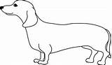 Dog Clipart Dachshund Outline Weiner September Clip Cliparts Library Wikiclipart Clipground sketch template