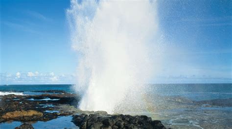 visit koloa 2023 travel guide for koloa hawaii expedia
