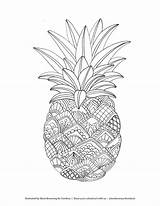 Pineapple Coloring Pages Printable Mandala Fruit Zentangle Fruits Adult Tombowusa Flower Choose Board Cute sketch template