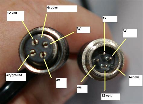 pin reverse camera wiring diagram organicic