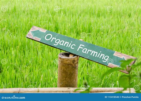 organic farming  wood label   nature stock photo image  asia plant