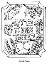 Kids Coloring Sukkot Pages Jewish Tree Sukkah Color Fig Deuteronomy Seven Species Succos Hebrew Books Colouring Printable Crafts Sheets Feast sketch template