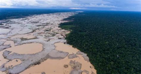 norway generous contributor  brazils amazon fund concerned   rhythm  deforestation