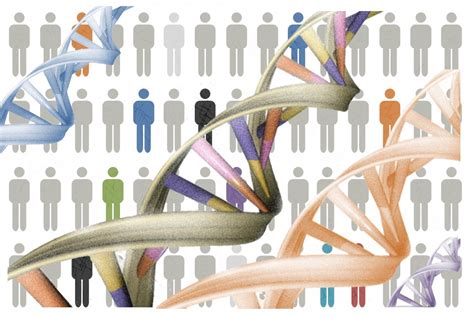 ¿cuántos Genes Tiene El Genoma Humano Genotipia