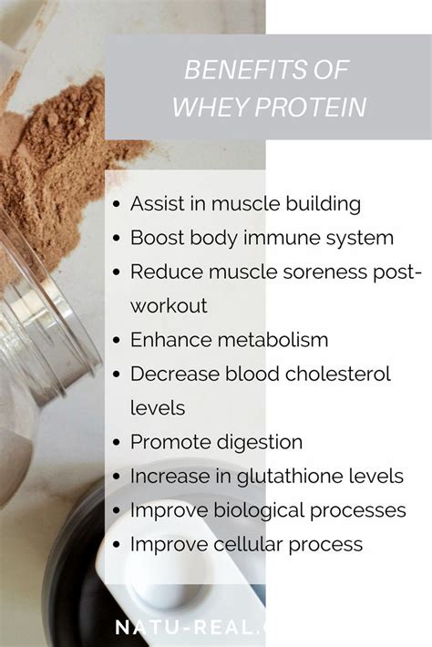 The Benefits Of Whey Protein Are Perfect For Supporting A Healthy